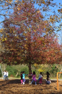 Recess in fall